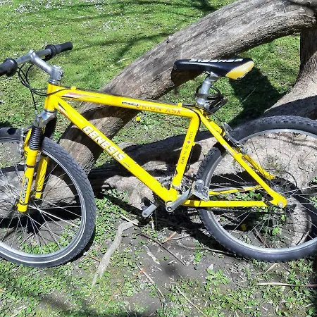 Charming, Central, Spacious * Innsbruck